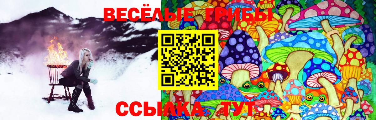 Галлюциногенные грибы мицелий Усолье-Сибирское