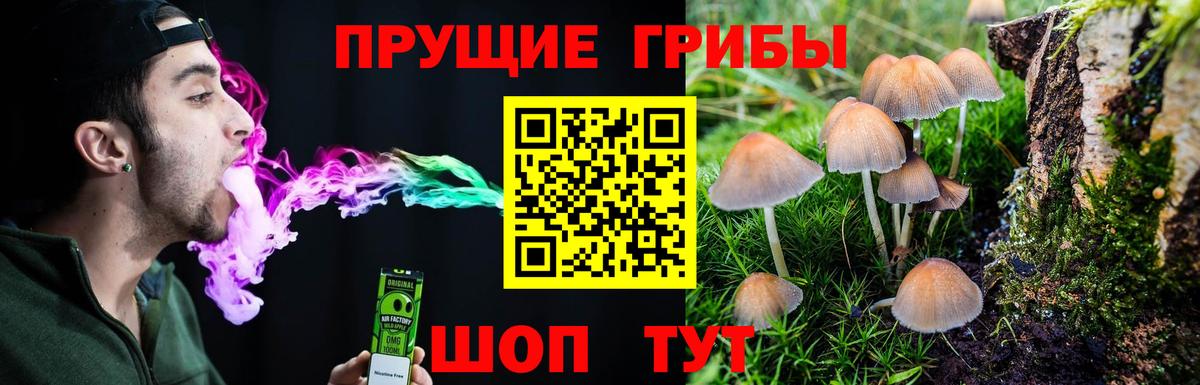 Псилоцибиновые грибы Cubensis  Вход с VPN  Усолье-Сибирское 